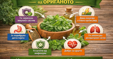 Bowl of fresh oregano surrounded by essential oil, herbs, and icons illustrating health benefits like immunity boost and infection prevention.