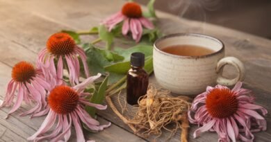 Природна композиција со ехинацеа: свежи цветови од ехинацеа, корен од ехинацеа, шолја топол чај и мало шишенце со билна тинктура, поставени на дрвена површина, како симбол на природна поддршка за имунитетот.
