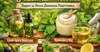 Eight recipes with lemon balm displayed, including oils, tinctures, creams, and tea in jars and bottles with fresh herbs.