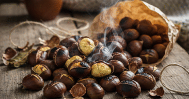 Рустикален приказ на купче топли, тукушто печени костени од кои излегува пареа, поставени на стара, груба дрвена маса. Костените се со засечени лушпи низ кои се гледа златно-жолтата внатрешност. Во позадина се гледаат кафеава керамичка шолја, неколку стари книги и меко плетено ќебе, што создава пријатна и топла домашна атмосфера.“