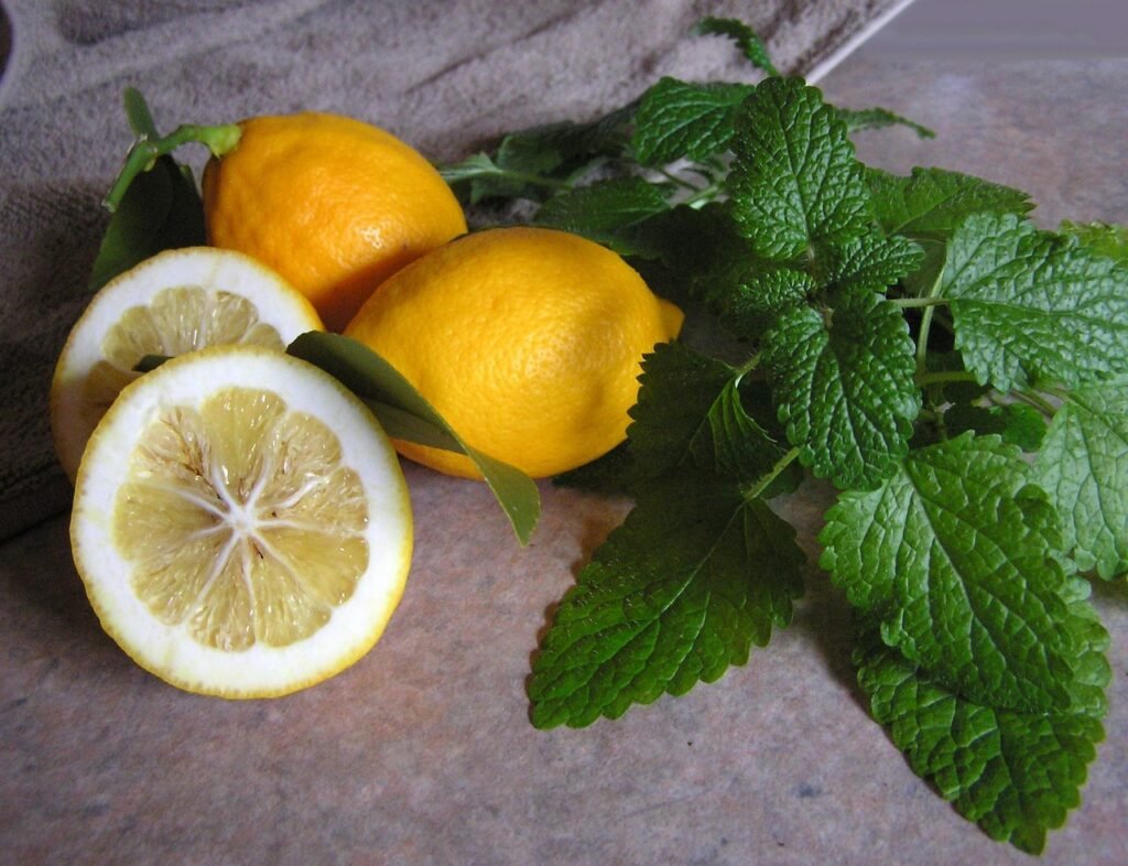 Three whole lemons and one sliced lemon with green mint leaves arranged on a surface.