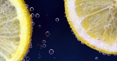 Two slices of lemon submerged in a clear liquid with bubbles, showcasing the texture and color of the lemon fruit.