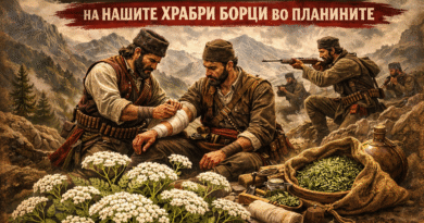 Illustration depicting a historical scene of men in traditional attire providing first aid in mountainous terrain, with plants visible in the foreground.
