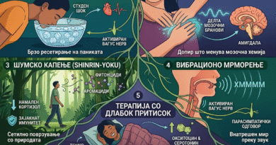 Детален инфографик со биолошки илустрации во алхемиски стил, кој прикажува пет природни техники за справување со стрес. Сликата ги содржи следниве делови со македонски наслови и објаснувања: 1) „Рефлексот на нуркање“ (илустрација на маж со лице во сад со ледена вода, кој го забавува срцевиот ритам); 2) „Havening техника“ (раце кои нежно ги масираат образите, стимулирајќи делта бранови во мозокот и смирувајќи ја амигдалата); 3) „Шумско капење (Shinrin-Yoku)“ (илустрација на маж кој оди низ шума, вдишувајќи фитонциди за намалување на кортизолот и зајакнување на имунитетот); 4) „Вибрационо мрморење“ (пресек на глава кој покажува гласни жици кои испуштаат звук „ХММММ“ и го активираат вагус нервот); и 5) „Терапија со длабок притисок“ (жена која спие мирно под тешко ќебе, со молекуларни дијаграми за окситоцин и серотонин). Сите делови се поврзани со зелен коренов систем кој се собира во централна „алхемиска лабораторија“ на смиреноста. Инфографикот има наслов „5 ПРИРОДНИ ТЕХНИКИ ЗА ОСЛОБОДУВАЊЕ ОД СТРЕС“ на врвот.