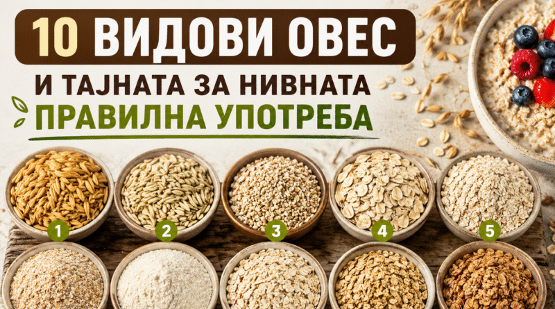 Информативна насловна слика во 4:3 формат што прикажува 10 различни видови овес распоредени во дрвени и керамички садови на рустична дрвена подлога. Во горниот дел се наоѓа голем наслов на македонски јазик: „Не секој овес е ист: 10 видови овес и тајната за нивната правилна употреба“. Десно е прикажан сад со овесна каша украсена со свежи јагоди, малини и боровинки, додека во позадина се гледаат класови од овес. Сликата има топли природни тонови и е наменета како насловна визуелизација за едукативен текст за различните видови овес и нивната употреба во исхраната.